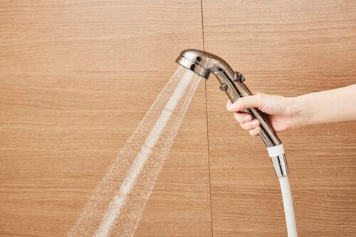 コンパクトな分、水流は細めでジェット一択なのが惜しい 節水シャワーヘッドおすすめ イメージ