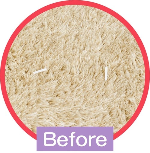 ラグ×紙片＋毛髪/Before 軽量コードレス掃除機おすすめ イメージ