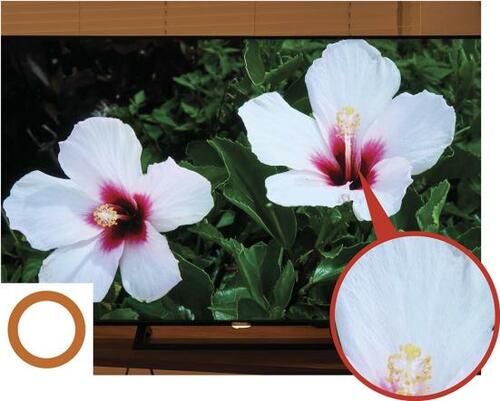 ポイント3：コントラストをしっかり表現 イメージ