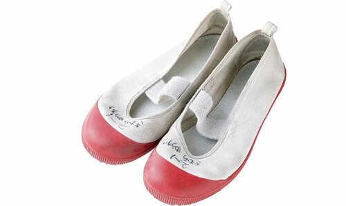 【靴洗いネット】面倒くさいゴシゴシ洗いとはサヨナラです
