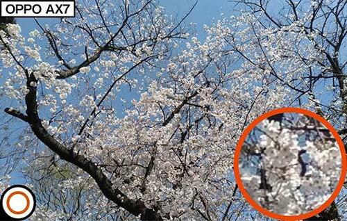 カメラの画素数は高いけれど撮影写真はちょっと残念