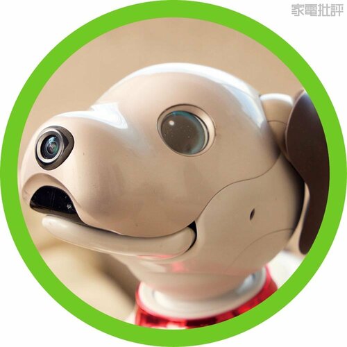 まるで本物の犬のように触れ合える！ ペットロボットおすすめ イメージ7