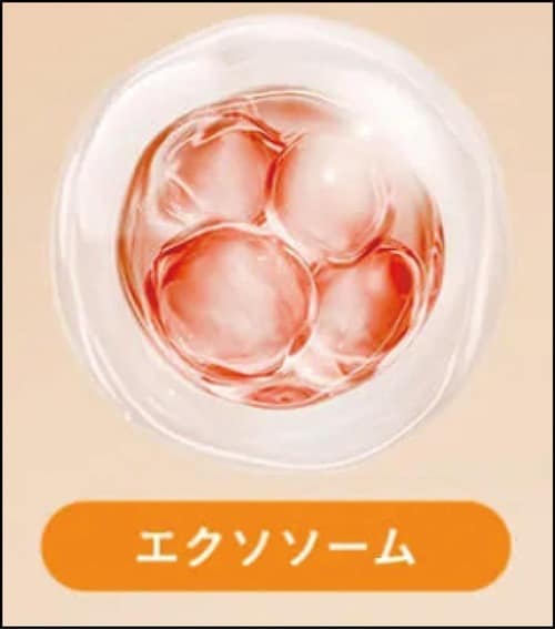 メリット2:まつ毛のハリケアが期待できる まつげ美容液おすすめ イメージ2
