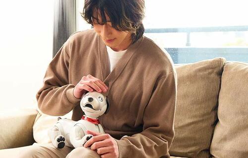 癒やされたり、会話を楽しむためのロボットです ペットロボットおすすめ イメージ