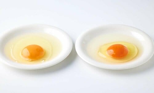 旬の野菜セットに新鮮玉子もつく! ふるさと納税おすすめ イメージ2