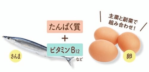 糖・たんぱく質・脂質のエネルギー変換をサポート スチーム調味料おすすめ イメージ3