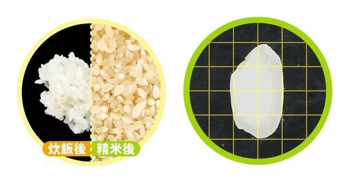 胚芽：◯ 精米器おすすめ イメージ