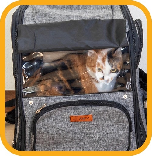 シースルーでネコの様子がわかりやすい 猫用キャリーバッグおすすめ イメージ