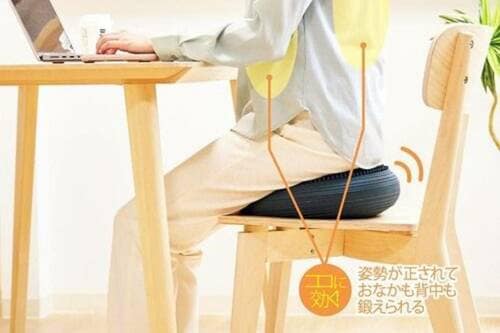 ジョイナス「La-VIE 体幹クッション」 イメージ3