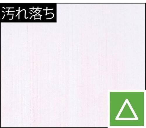 ビバホーム「たくさん水拭き掃除ができる 除菌ウェットシート」 フローリング用掃除シートおすすめ イメージ