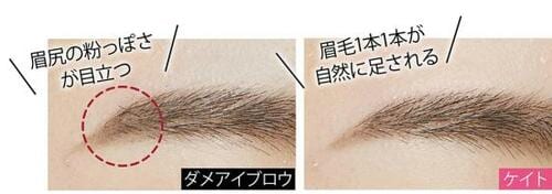 ベストのワケ:しっとり粉質で本物の毛のようになじむ