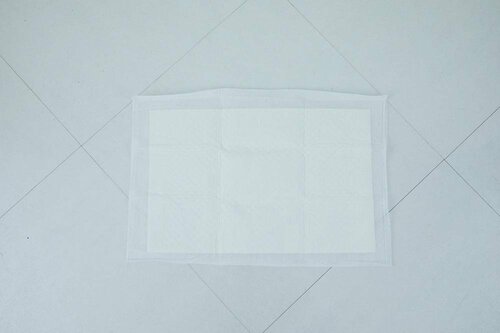 犬用ペットシーツおすすめ アイリスオーヤマ 超速吸ペットシーツ レギュラー イメージ2