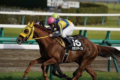 α7 Ⅲはスポーツも十分撮れる動体追尾性能があります！ イメージ