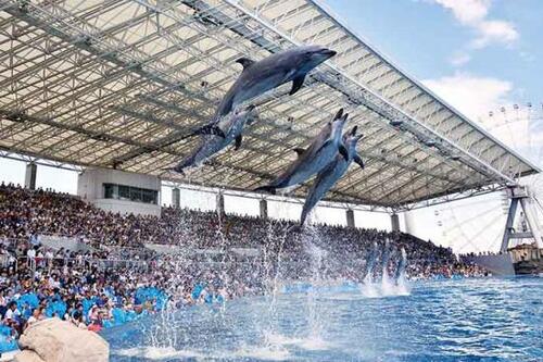 国内最大級の水族館「名古屋港水族館」