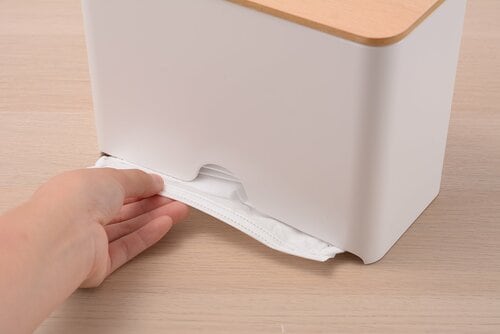 イデアコマスク取り出す画像