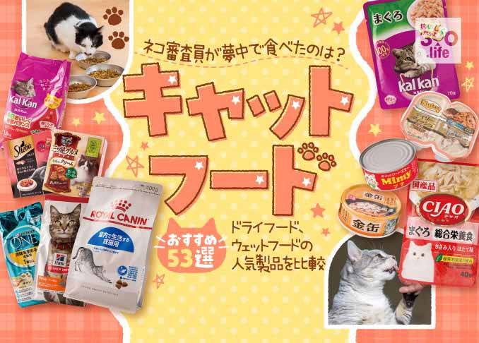 21年 キャットフードのおすすめランキング53選 獣医師と猫が人気商品を徹底比較 360life サンロクマル