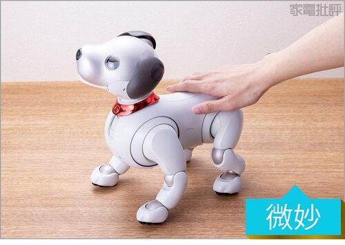 ガシャガシャした稼働音はやや気になります ペットロボットおすすめ イメージ