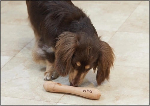 犬によっては関心を示さずお蔵入りする可能性も 犬用おもちゃおすすめ イメージ