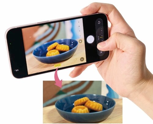 カメラ性能:「iPhone 16e」ではできなかったポートレートで人物以外もボカせる! Apple「iPhone 17e」おすすめ イメージ