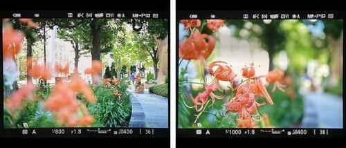 一眼カメラの魅力６