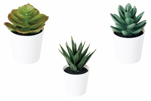 イケア「フェイカ人工観葉植物 鉢カバー付/多肉植物」 イメージ