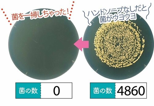 叶った1:菌にソープをのせただけで完全に除菌した イメージ2