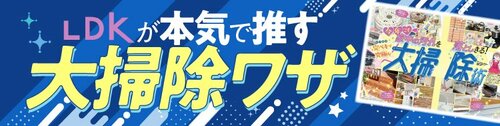 大掃除に大活躍の加圧式スプレーとは？ イメージ3