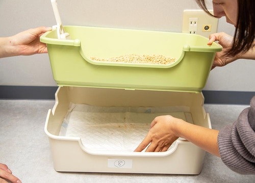 本体が軽くて持ち上げやすい 猫用トイレおすすめ イメージ2