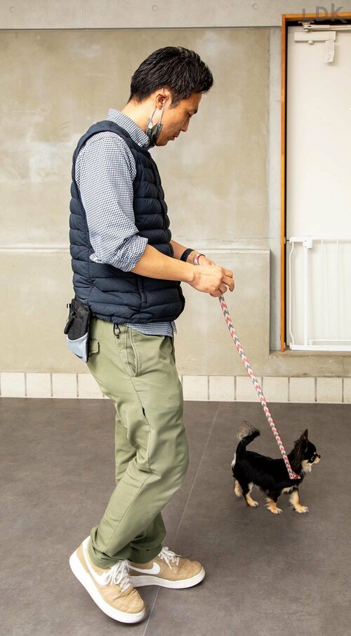 やや操作しづらいけど品質は悪くない 犬用リードおすすめ イメージ