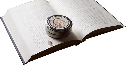 知性が10上がった…なんて気持ちになれそう BOOK DARTS「BOOK DARTS」 イメージ2