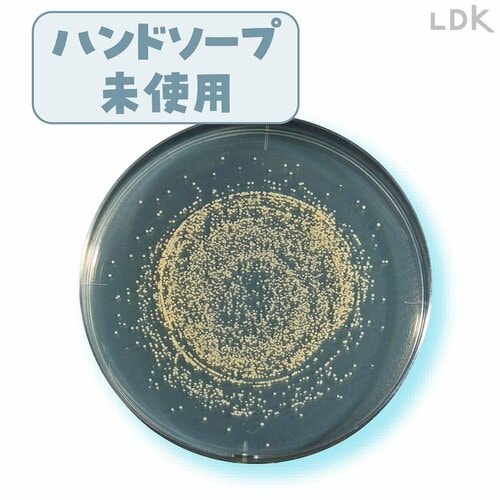 テスト1:除菌特性 ハンドソープおすすめ イメージ2