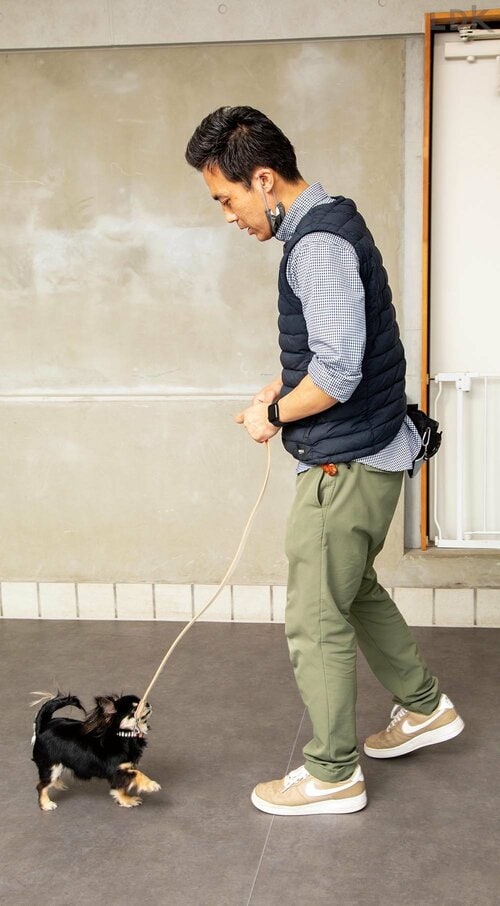 本革だから伸縮性はなし 犬用リードおすすめ イメージ