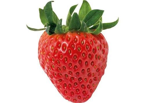 正しく選んだいちごは鮮度が高くて甘いんです イメージ2