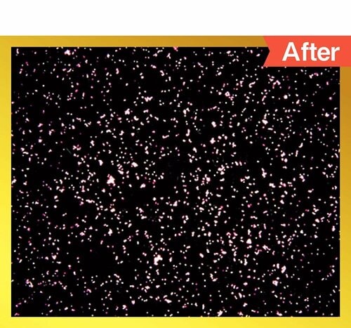 参考テスト：微粒子の数を27.2%除去 小型空気清浄機おすすめ イメージ2