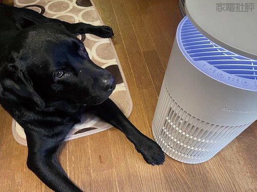 Q. ペット用空気清浄機とは? ペット用空気清浄機おすすめ イメージ