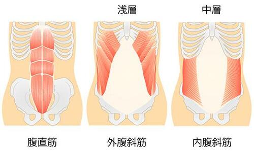 1日5分だけでも鍛えられる!腹筋ローラーの5つのメリット イメージ2