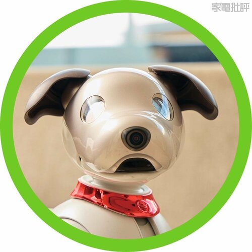 まるで本物の犬のように触れ合える！ ペットロボットおすすめ イメージ6