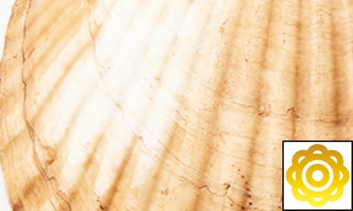 継続ホワイトニング力 ホワイトニングジェルおすすめ イメージ