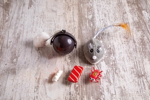 ネコダッシュ用おもちゃのテスト方法は？ 猫用おもちゃおすすめ イメージ