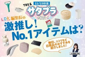 11/15放送「サタプラ」でLDK編集長が紹介！ 家事ラクになる激推しのキッチンアイテムは？