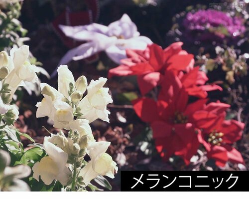 個性的なプリセットが豊富 ミラーレス一眼カメラおすすめ イメージ3