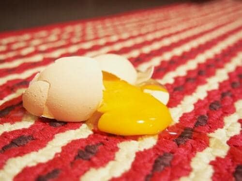 ソファなどの汚れは「布汚れ用掃除機」が新定番に イメージ