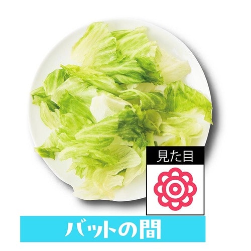 バット挟んで冷凍したレタスはほぼ変色なし! 野菜の冷凍保存方法おすすめ イメージ