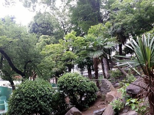 C評価: 【C評価】価格の割に健闘！とにかく飛ばしたいならアリ イメージ