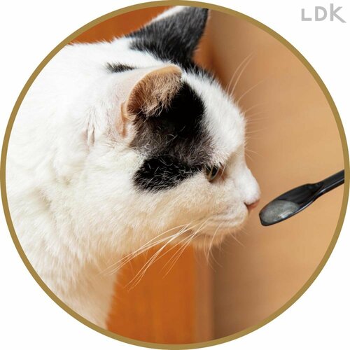 独特の甘い香りが特徴 猫用歯磨き粉おすすめ イメージ