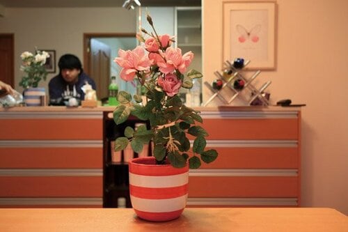 背景の大きなボケ感もフルサイズの魅力ですと イメージ2