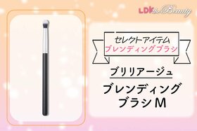 プロ級の上品アイが作れる！ ブレンディングブラシを使ってグラデもボカシも思いのまま！（LDK）