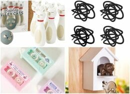 おうち時間の癒しに！ 遊び心あふれるおすすめ雑貨4選｜『LDK』がセレクト