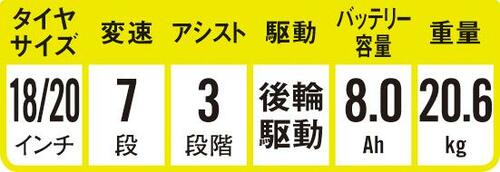 検証結果