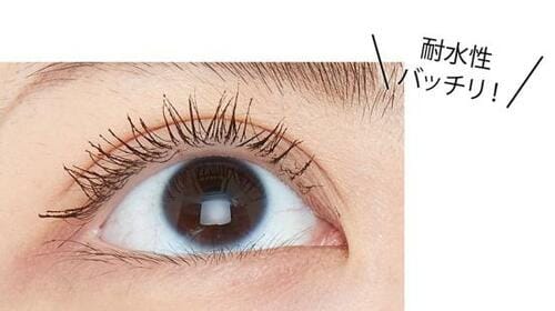 ベストのワケ:目薬にも屈せずバッサリを持続! イメージ